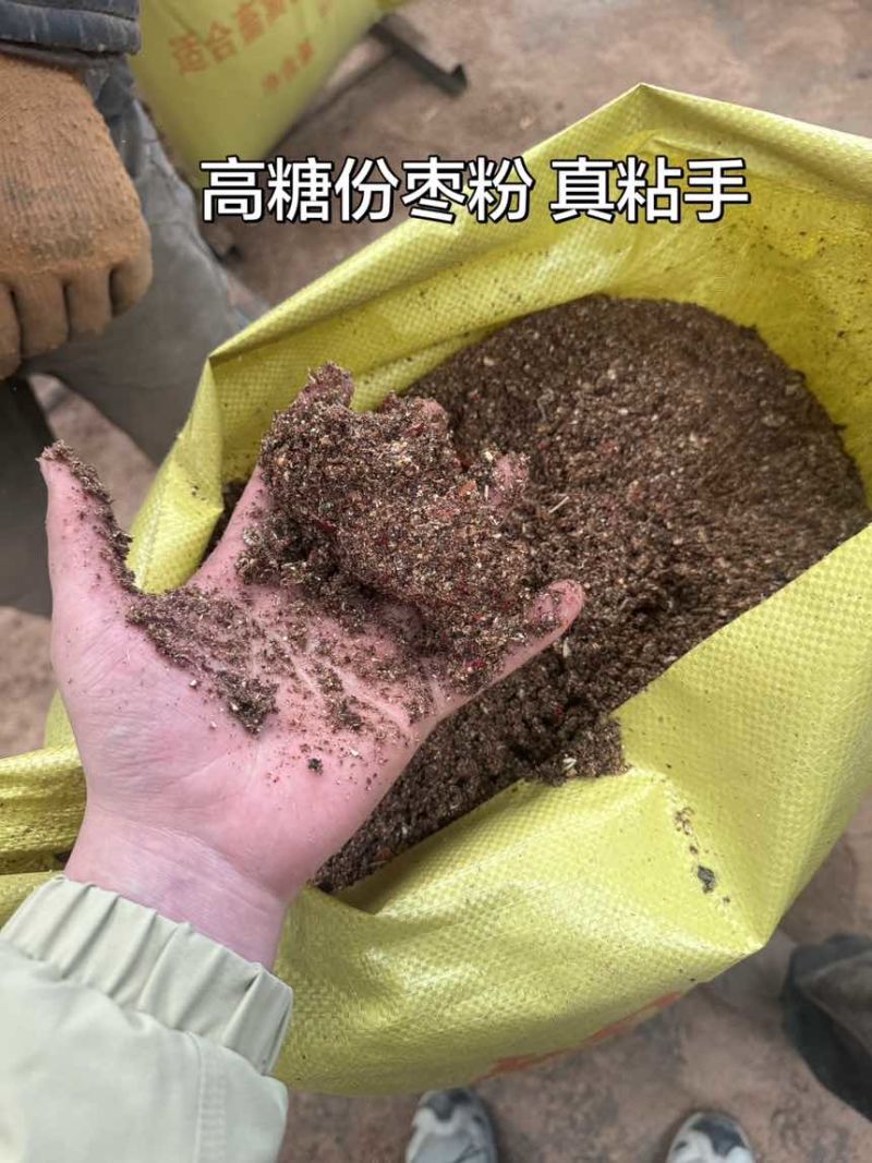 红枣粉糖度高够香牛羊鸡鸭鹅都喜欢吃