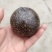 羊黄，也叫羊宝。