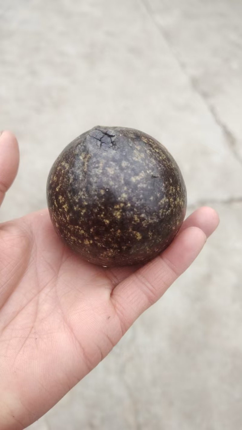 羊黄，也叫羊宝。
