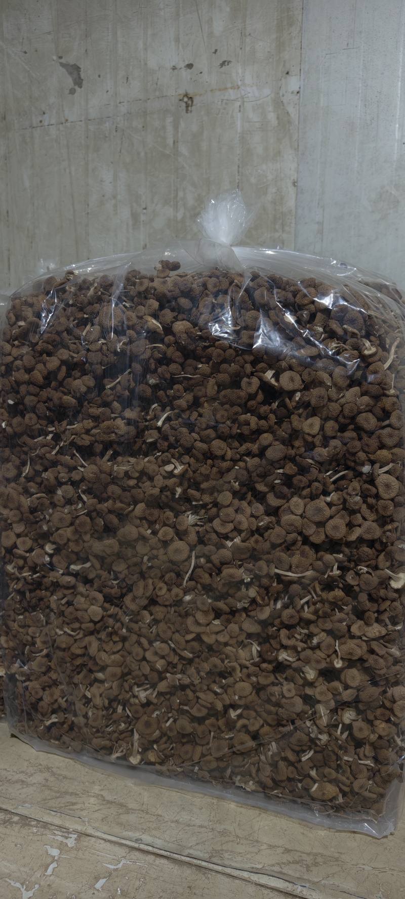 源头种植基地发货，新鲜出炉，价格实惠。