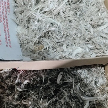 手工鸭鹅毛