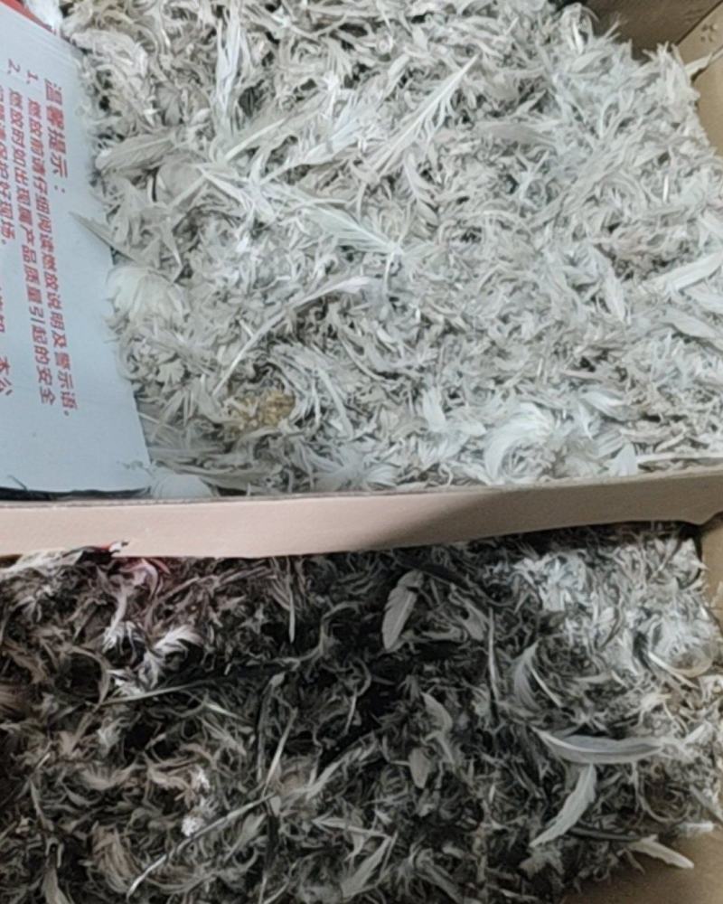 手工鸭鹅毛