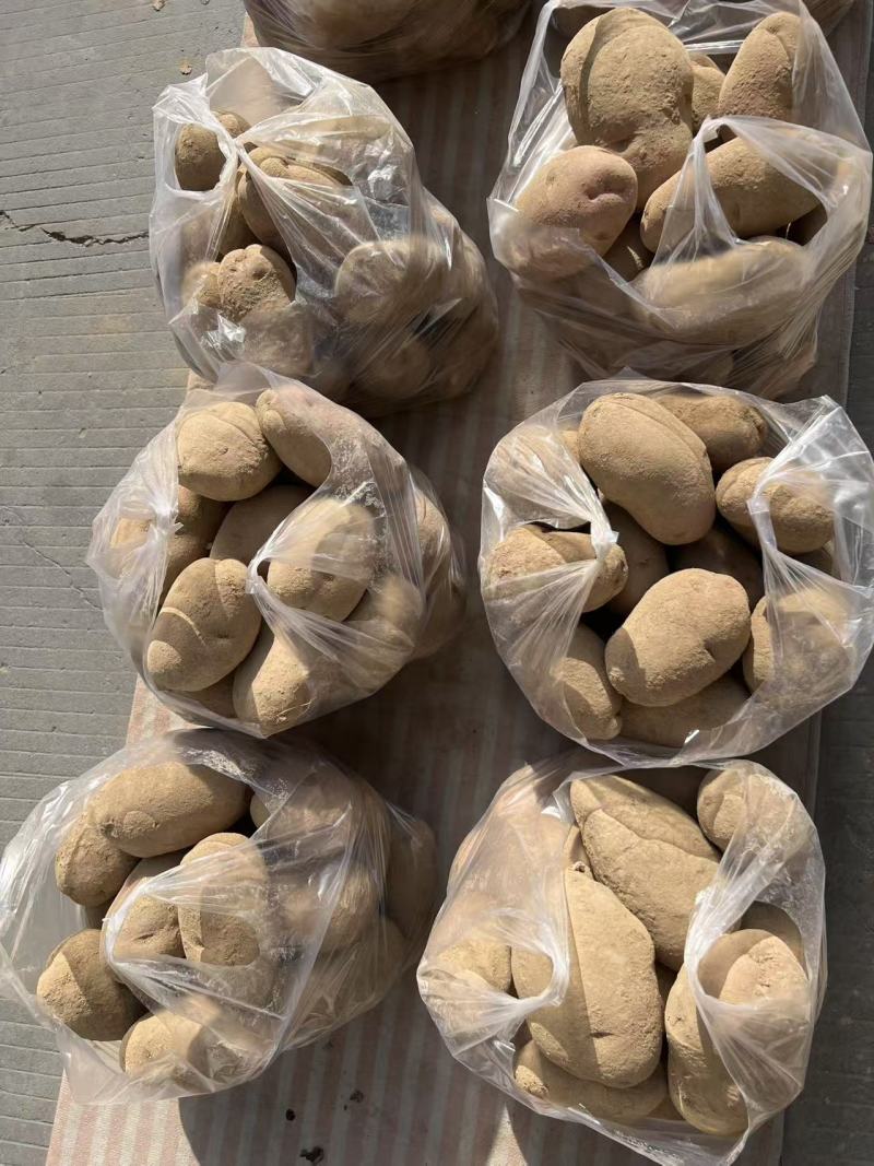 定西面沙土豆，红皮土豆，白皮土豆🥔🥔🥔🥔🥔🥔