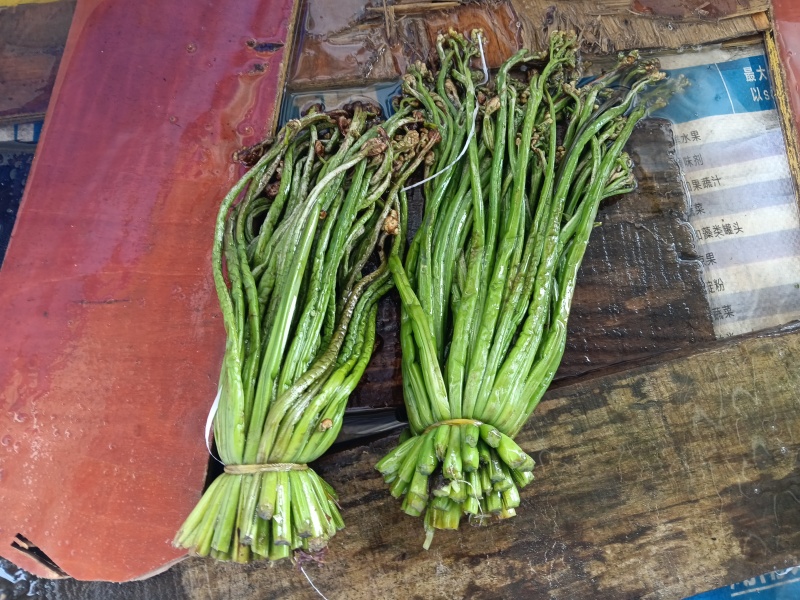 贵州野生蕨菜