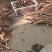 旧州雅蔡冷泉芋头