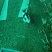 各品种兔子