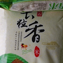 大米