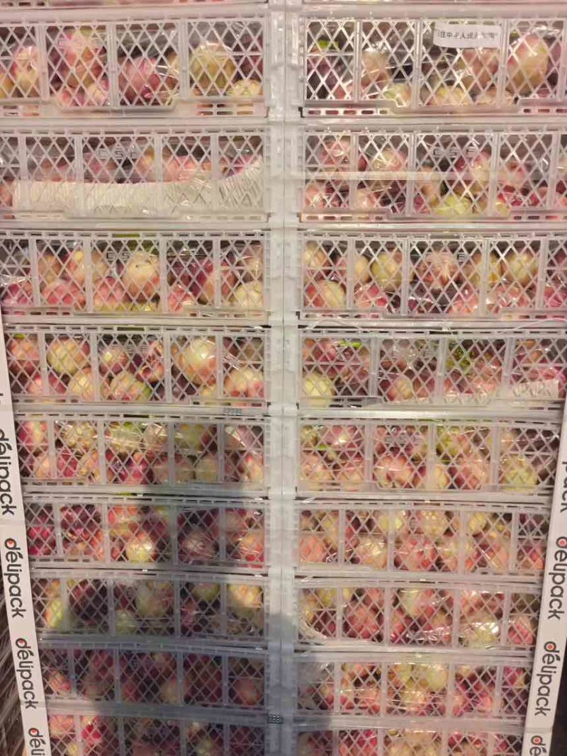 超靓桃驳李，硬脆甜不黑心，