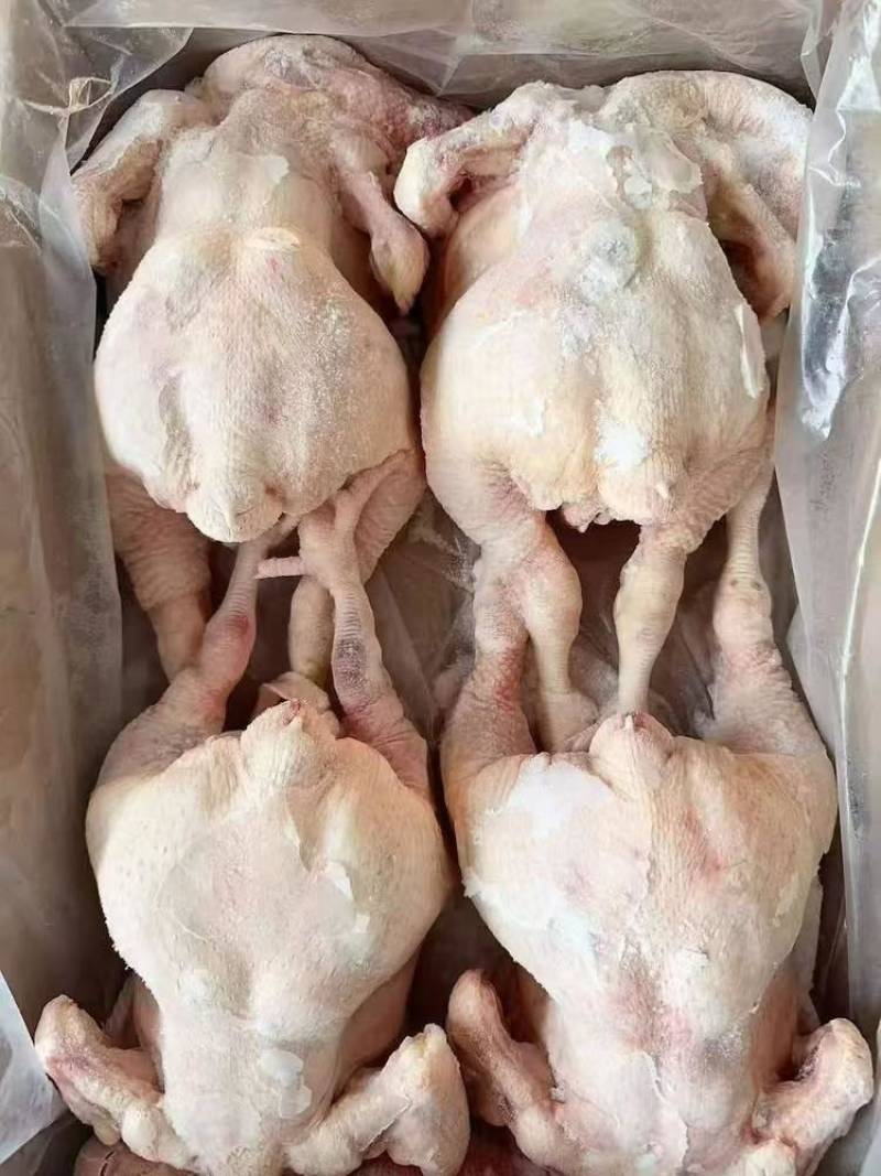 东北一级握爪肉食鸡，箱装直腿，单只3～3.6斤