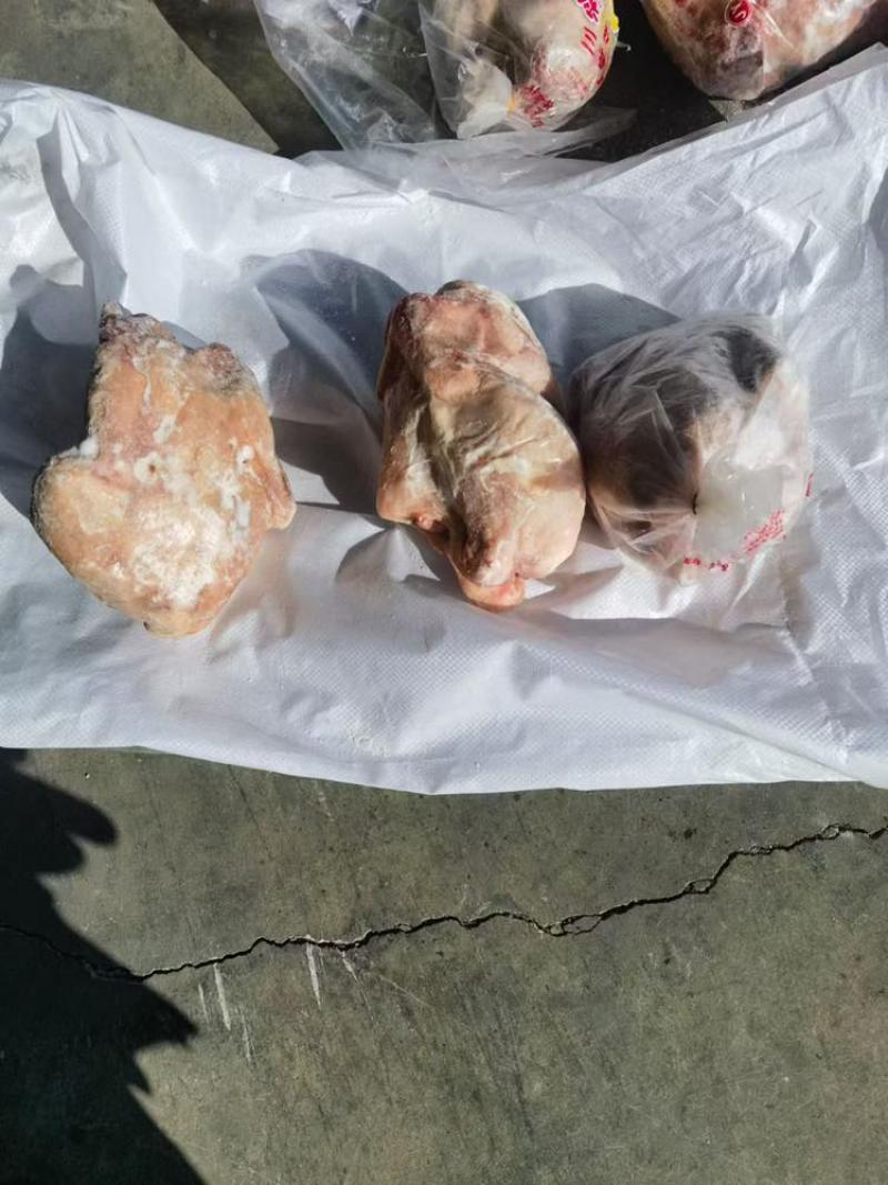 东北一级握爪肉食鸡，箱装直腿，单只3～3.6斤
