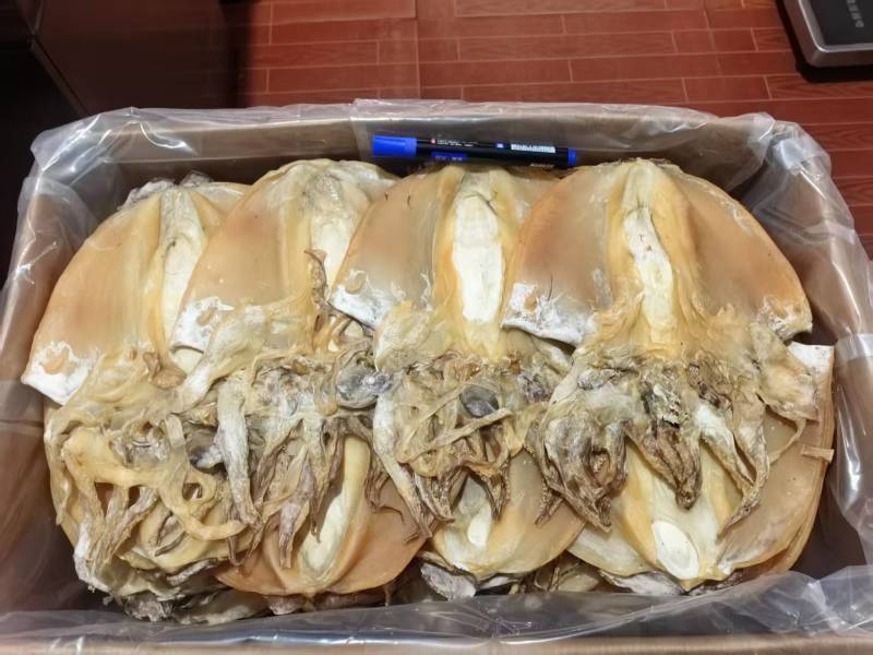 5-7两一个的大墨鱼干，干度非常好