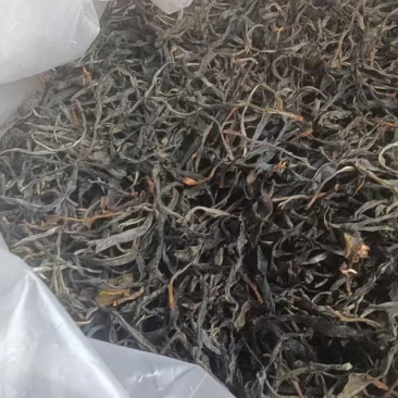 普洱熟茶，温和不刺激。散茶，500g