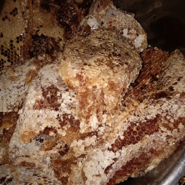 深山好蜜，自然天成。