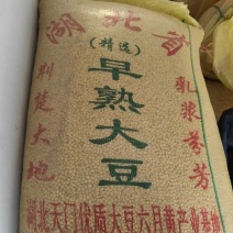 湖北天门优质黄豆