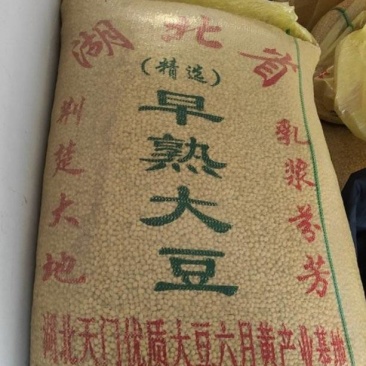 湖北天门优质黄豆