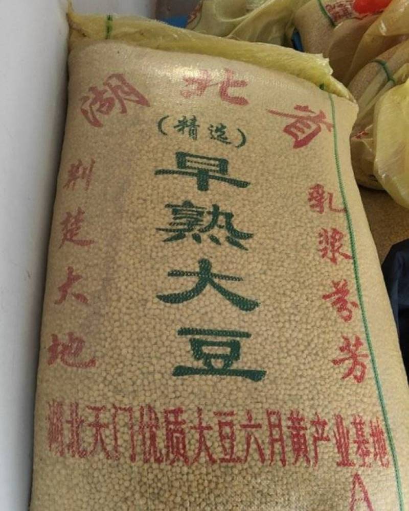 湖北天门优质黄豆