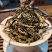 勐海勐宋26年头春茶