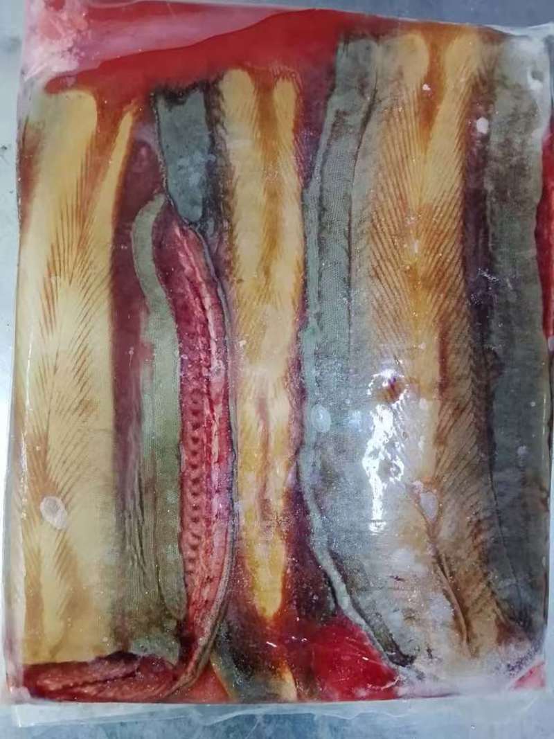 黄鳝短，黄鳝片，去骨不去骨，各种规格包装
