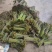 贵州贵阳高山蕨菜龙爪菜