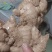 乳山大姜现在什么价？