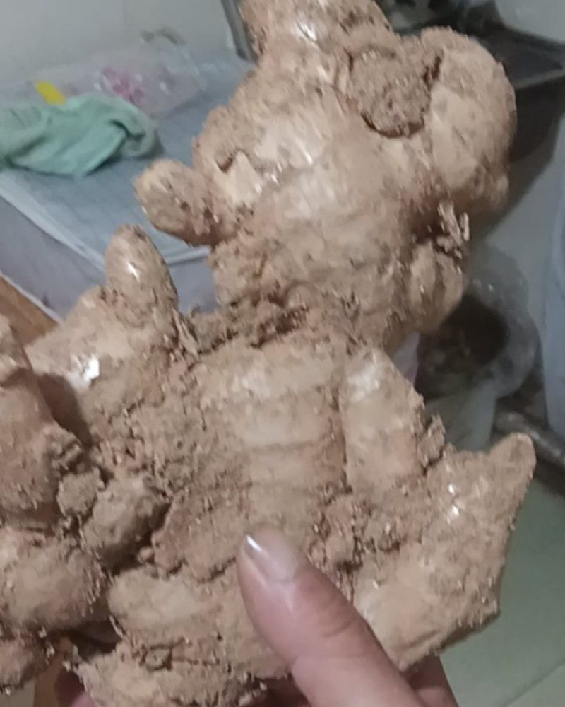 乳山大姜现在什么价？