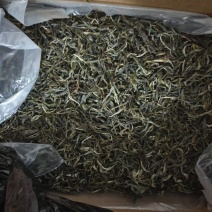 古树普洱茶