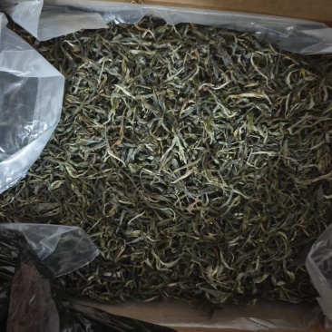 古树普洱茶