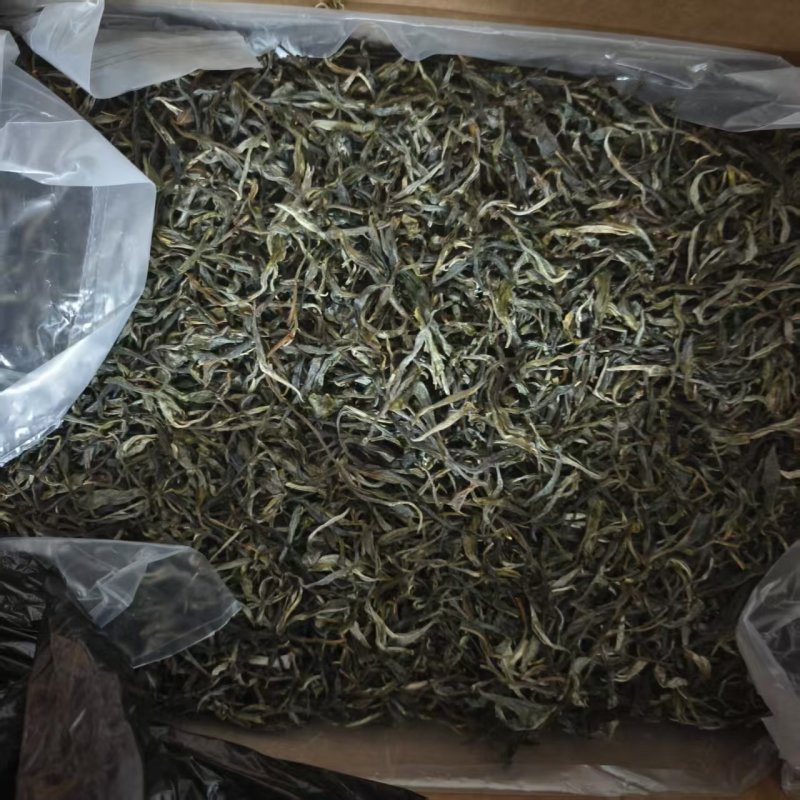 古树普洱茶