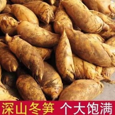 竹笋