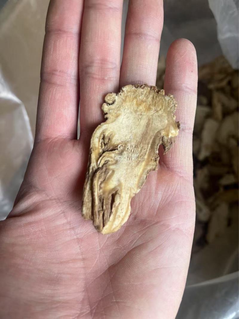 原产地直发当归头切片自家种植