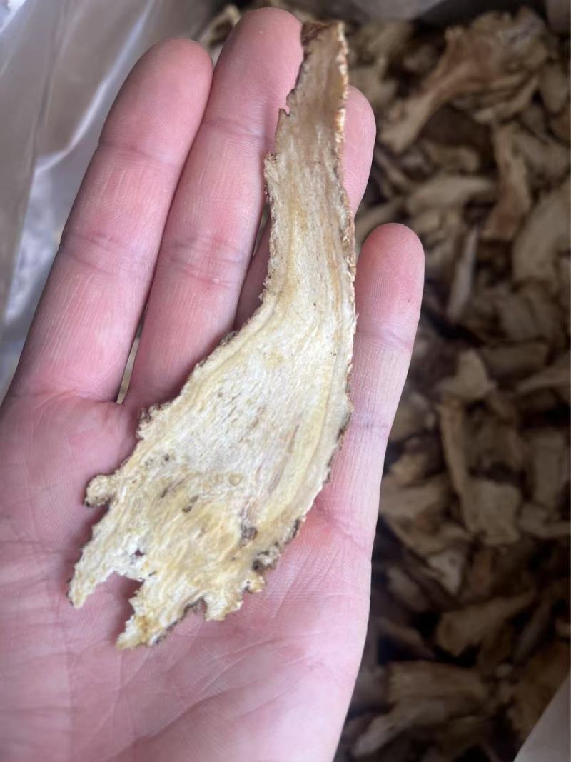 原产地直发当归头切片自家种植