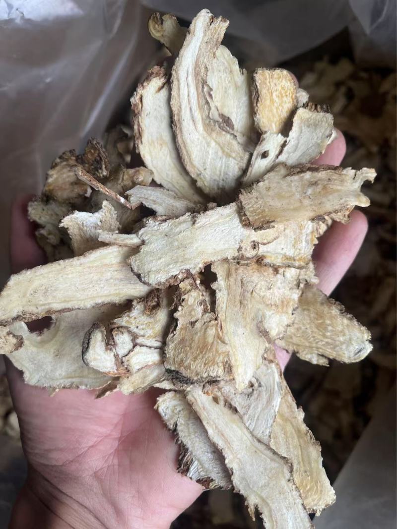 原产地直发当归头切片自家种植