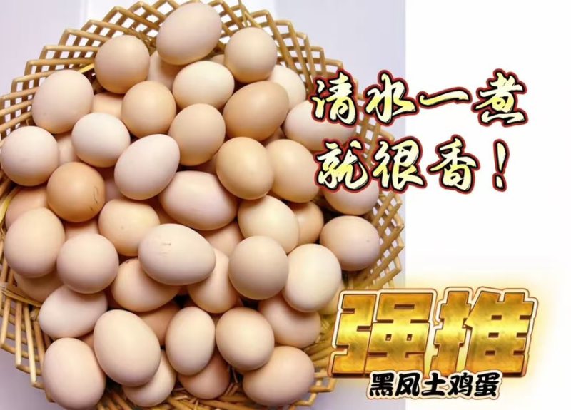 鸡蛋