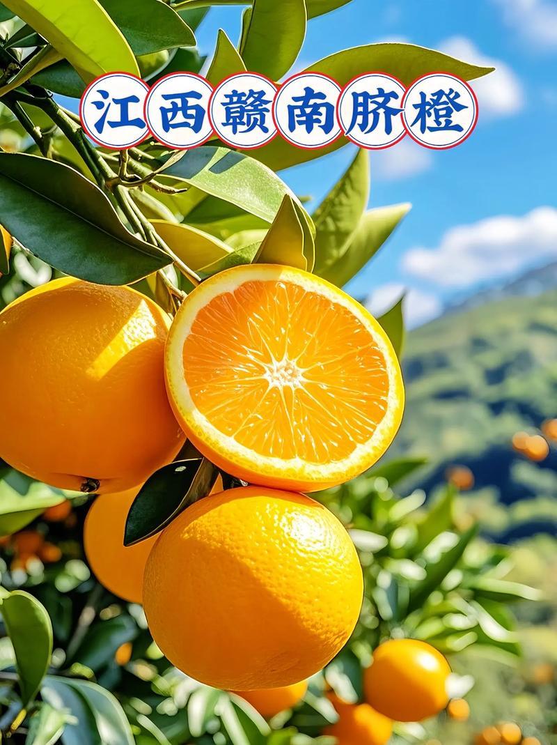 赣南脐橙