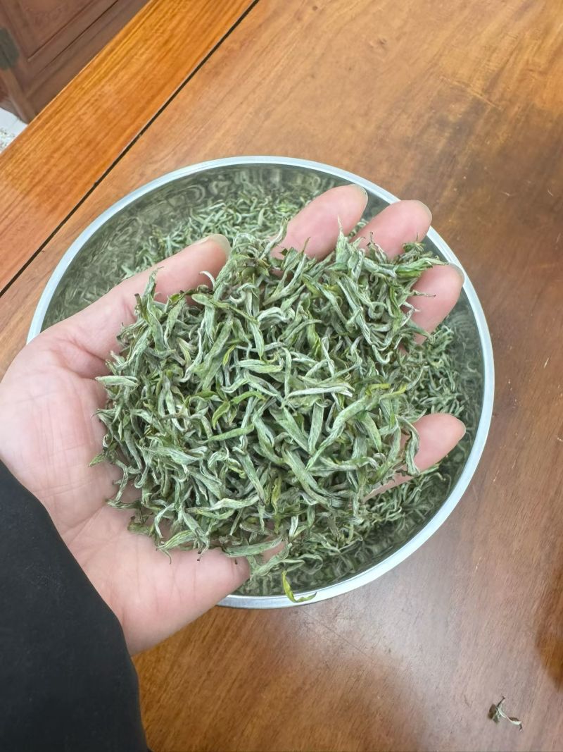 保靖黄金茶古丈毛尖