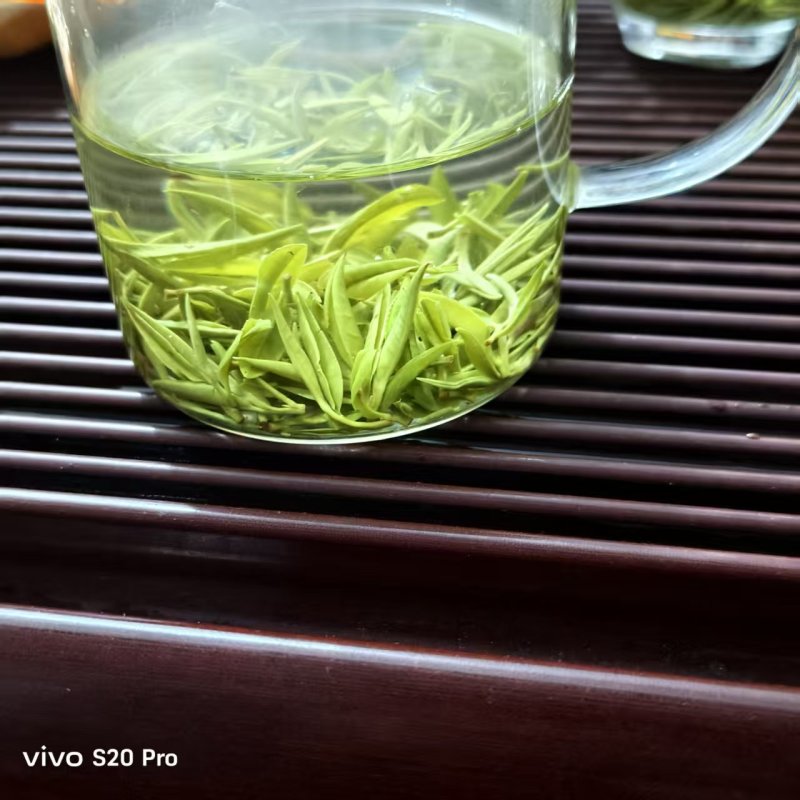 保靖黄金茶古丈毛尖