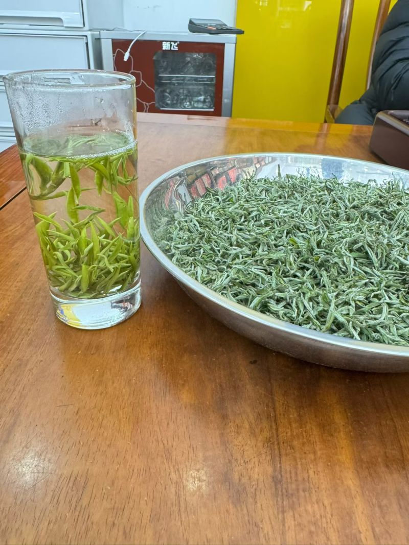 保靖黄金茶古丈毛尖