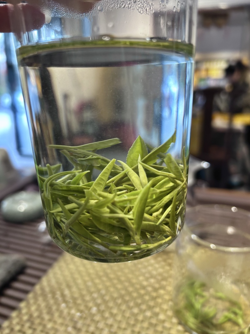 保靖黄金茶古丈毛尖