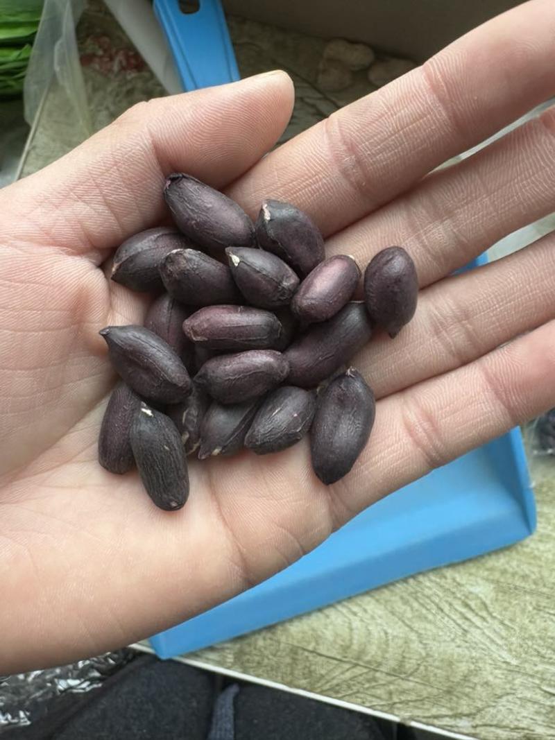 大颗粒富硒花生颗粒饱满精选果
