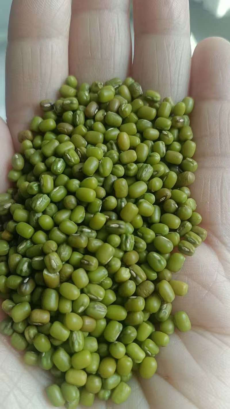 绿豆明绿豆毛绿豆毛杂常年有货