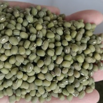 绿豆明绿豆毛绿豆毛杂常年有货