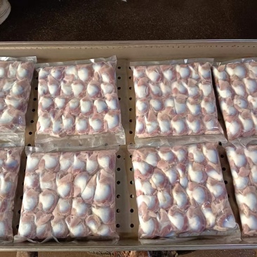 个人存货肉鸡胗30吨