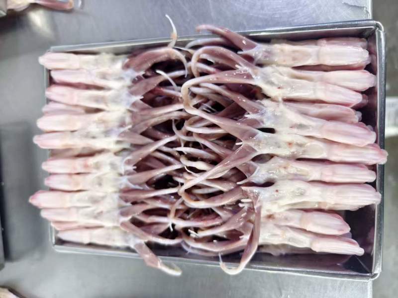 大鸭舌3吨