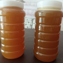 正宗高山土蜂蜜、