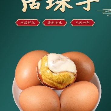 活珠子毛蛋