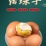 活珠子毛蛋