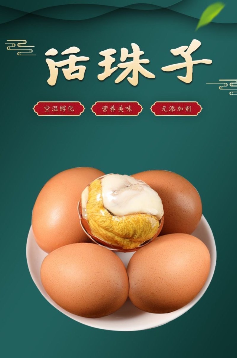 活珠子毛蛋