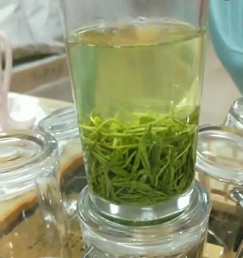 高山云雾茶