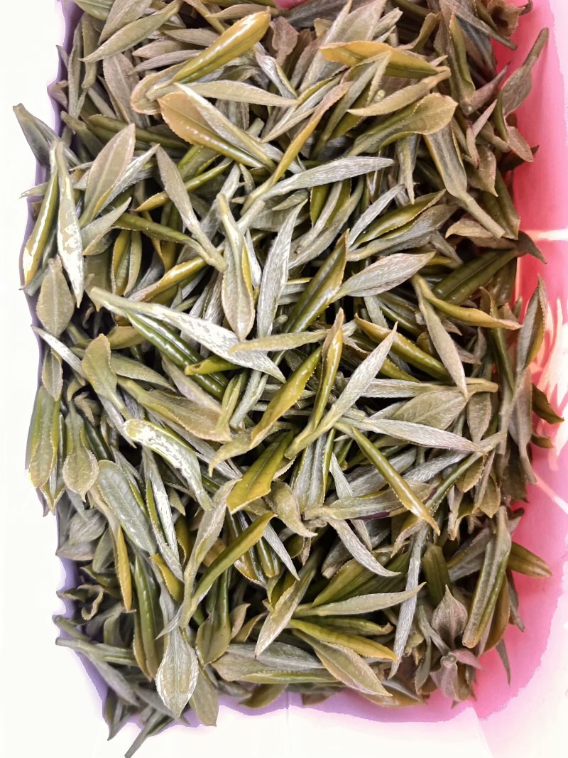 高山云雾茶
