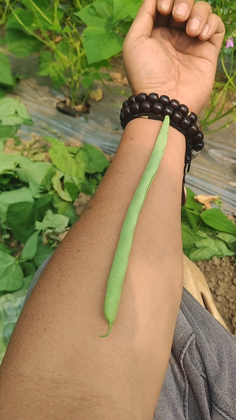 跟随季节有热情果释迦果，坚果咖啡，豆子，自己有冷库，有需要的